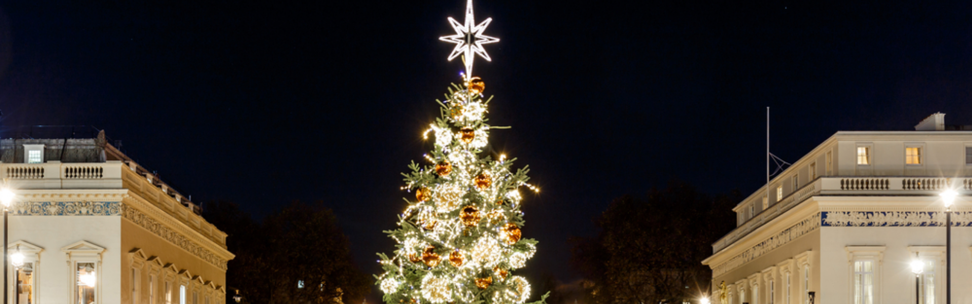 When Does Target Put Out anniversary & Holiday Stuff 2024? It’s Time